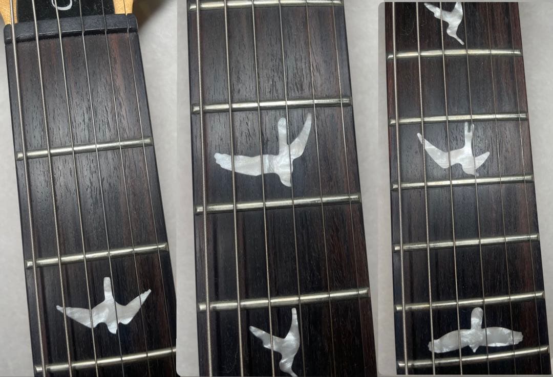 洋*平様 PRS SE custom24 Trampas Green