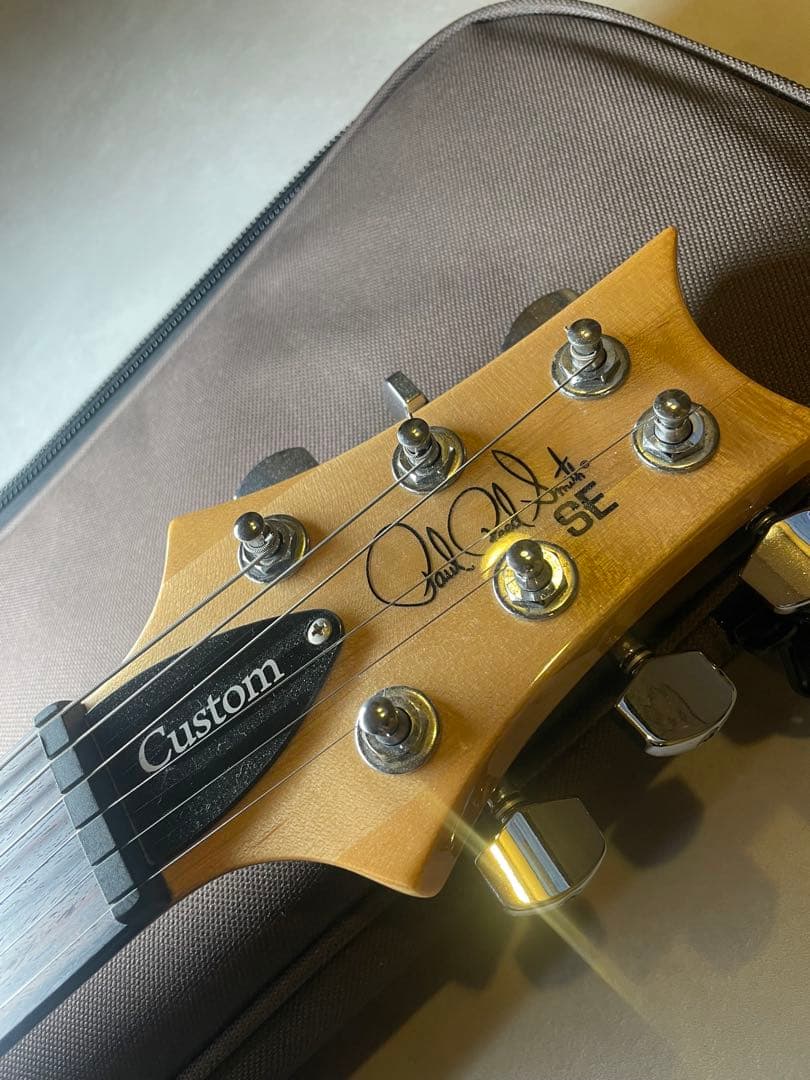 洋*平様 PRS SE custom24 Trampas Green