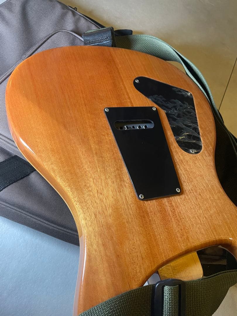 洋*平様 PRS SE custom24 Trampas Green