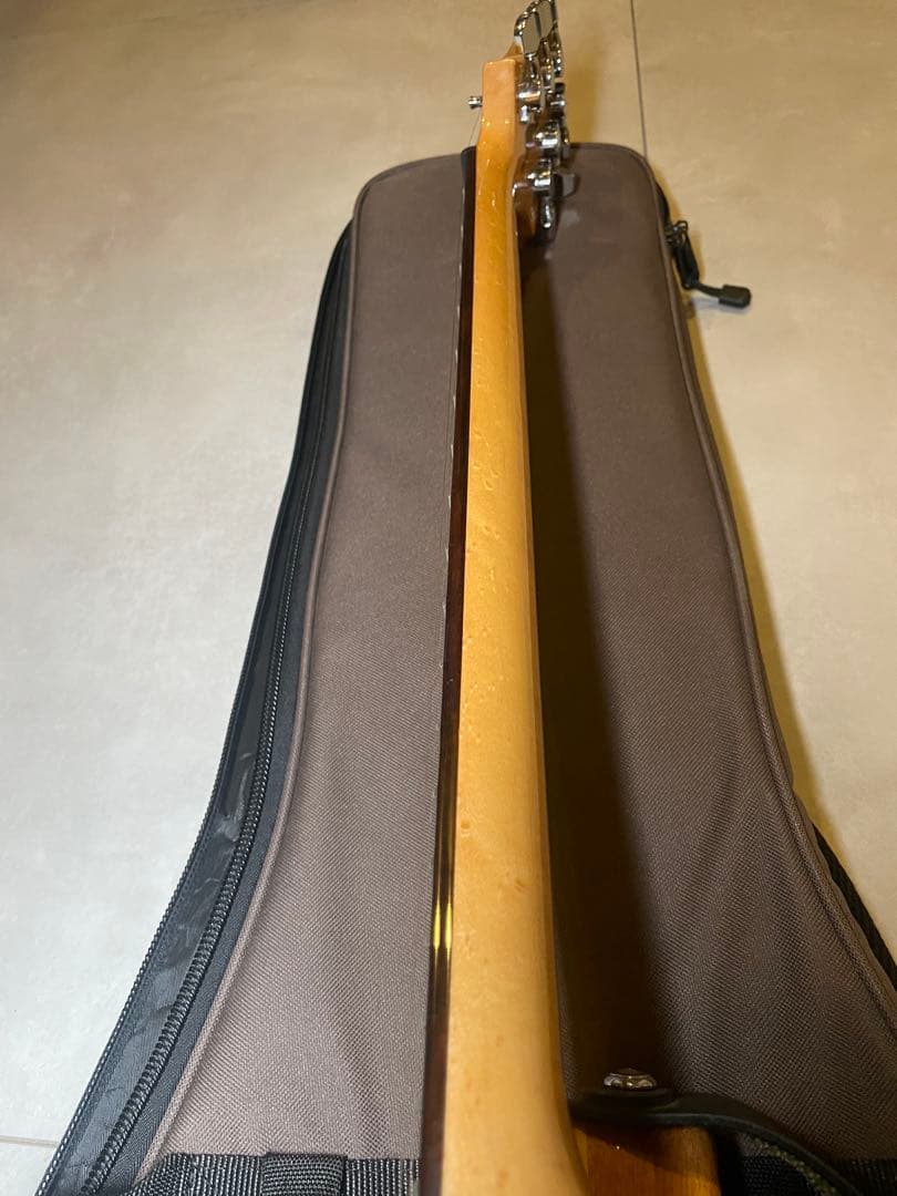 洋*平様 PRS SE custom24 Trampas Green