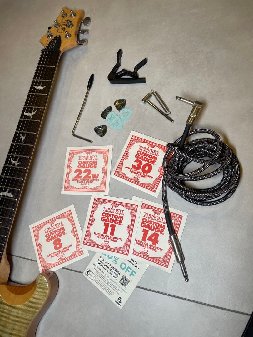 洋*平様 PRS SE custom24 Trampas Green