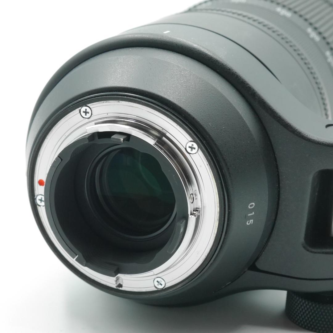 サウスゲート様 シグマ 150-600mm F5-6.3