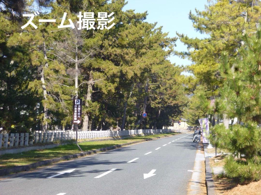 実写⭕️【動作確認済】Panasonic LUMIX DMC-FH8ピンク