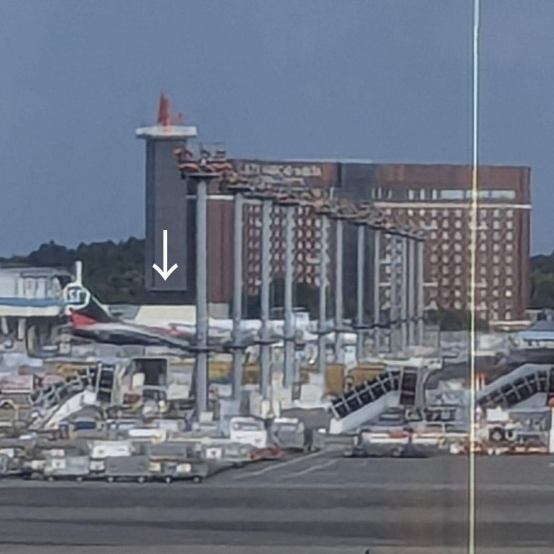 【ご紹介】リーリー♡シンシン応援グッズ♡リーリーシンシンふわもこハートスティック