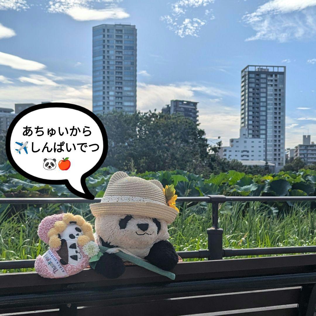 【ご紹介】リーリー♡シンシン応援グッズ♡リーリーシンシンふわもこハートスティック