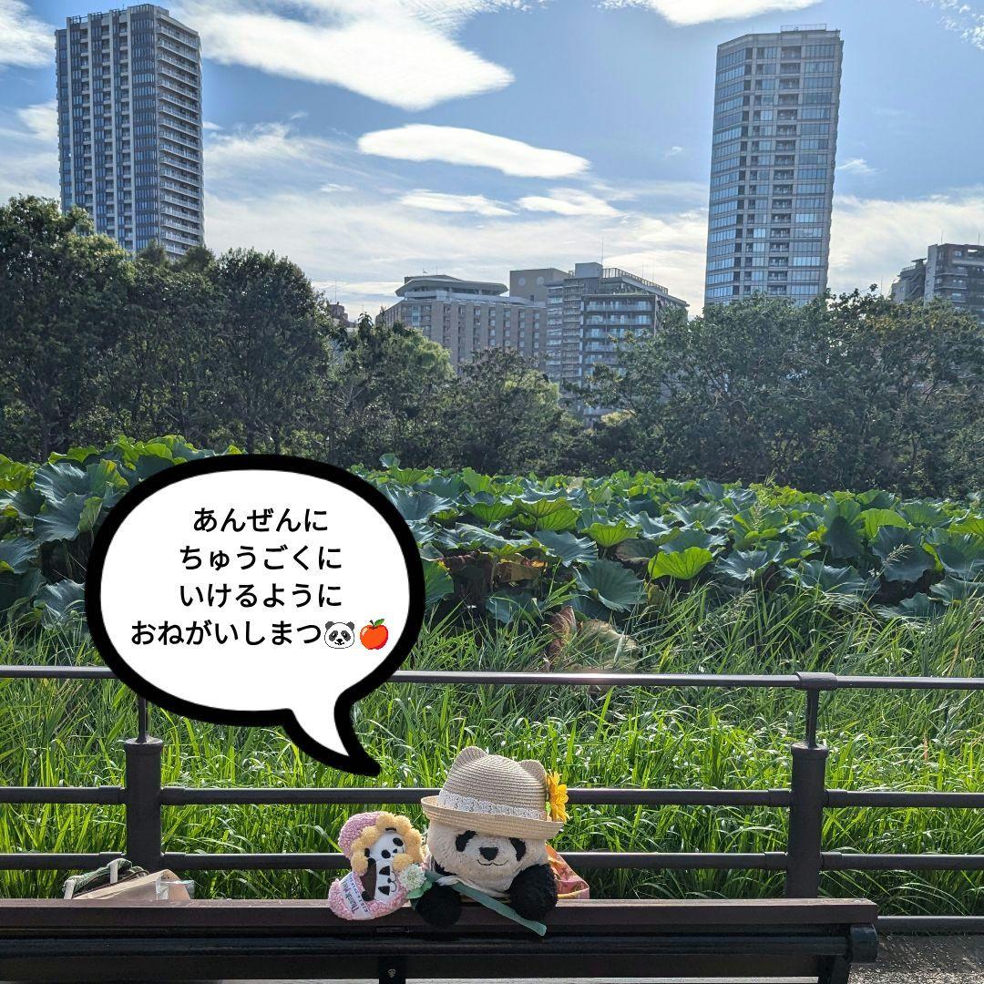 【ご紹介】リーリー♡シンシン応援グッズ♡リーリーシンシンふわもこハートスティック