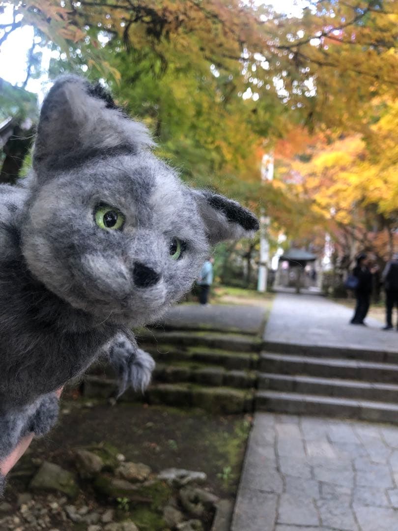 羊毛フェルト　ロシアンブルー　ウチの子　オーダー