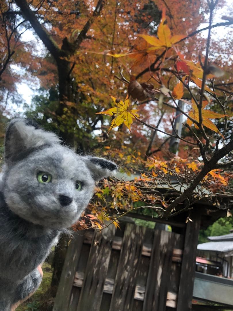 羊毛フェルト　ロシアンブルー　ウチの子　オーダー