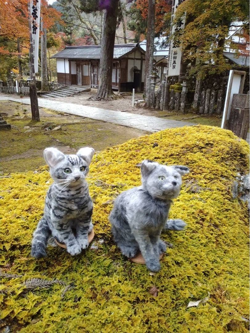 羊毛フェルト　ロシアンブルー　ウチの子　オーダー