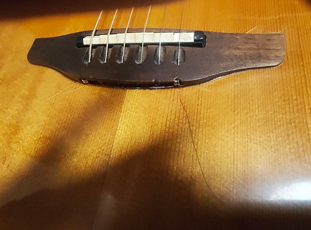 オベーションエリート1868