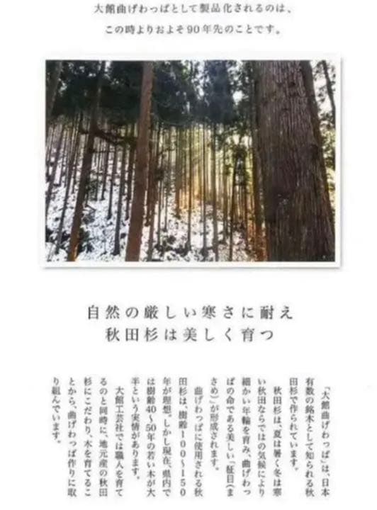 新品箱入り 大舘工芸社 秋田わっぱ 曲げわっぱ 小判弁当（中）