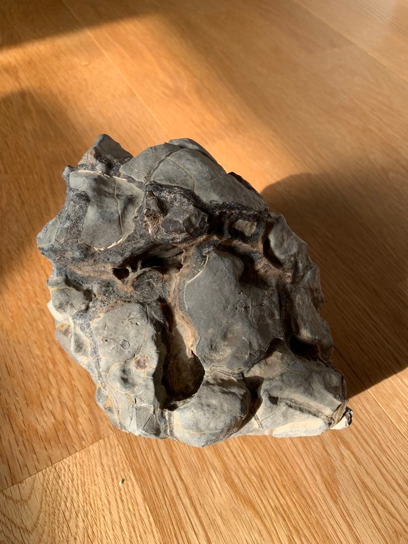 亀甲石 ノジュール石 鑑賞石 水石