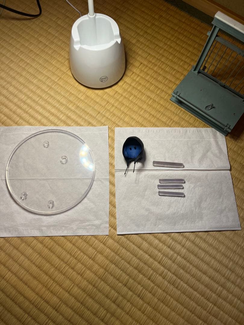 ダーリン・イン・ザ・フランキス　イチゴ　フィギュア　グッドスマイルカンパニー