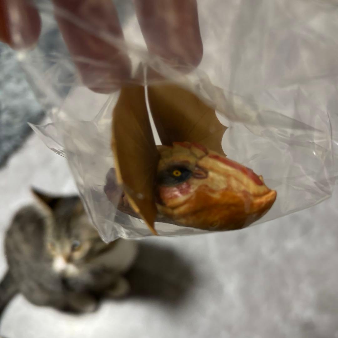 【一番くじ】モンスターハンターワイルズ　A賞アルシュベルド& B賞ポスターアート