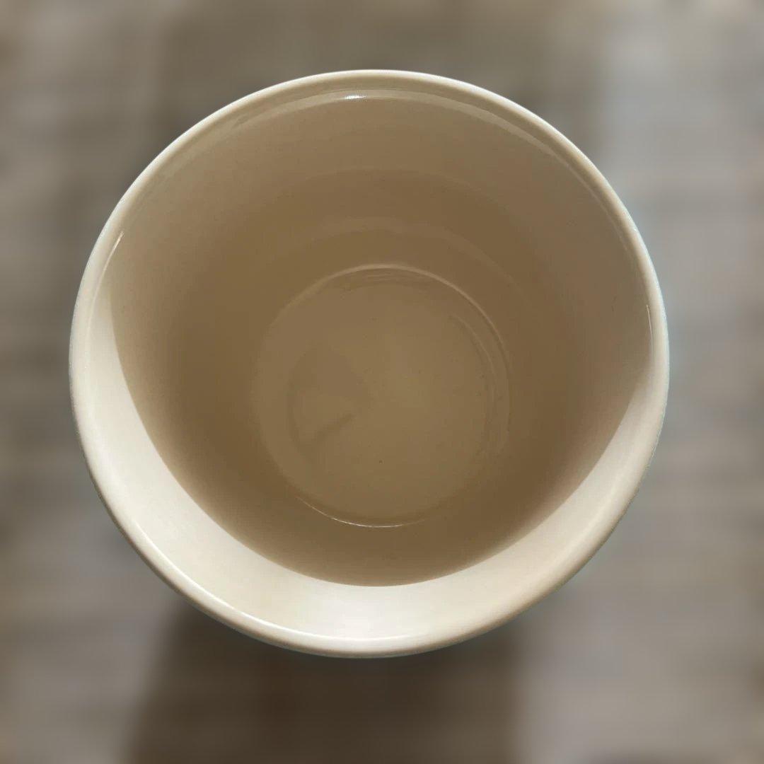 ル・クルーゼカラフルな陶器製ボウル5個セット