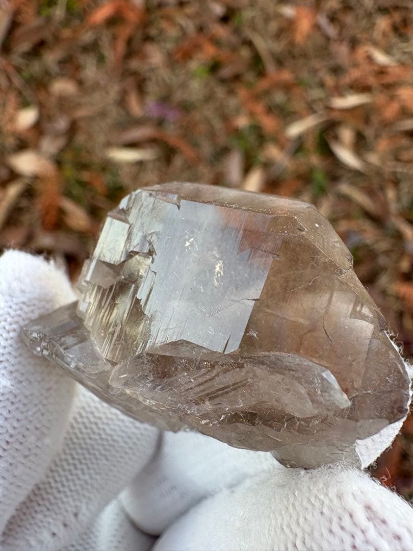 【匿名発送】パキスタン産スモーキーグインデル