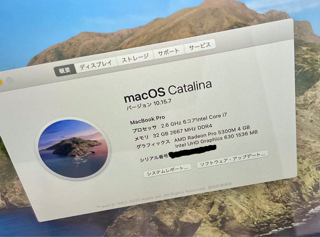 MacBookpro 16インチSSD1T 2.6GHz 1テラカスタム