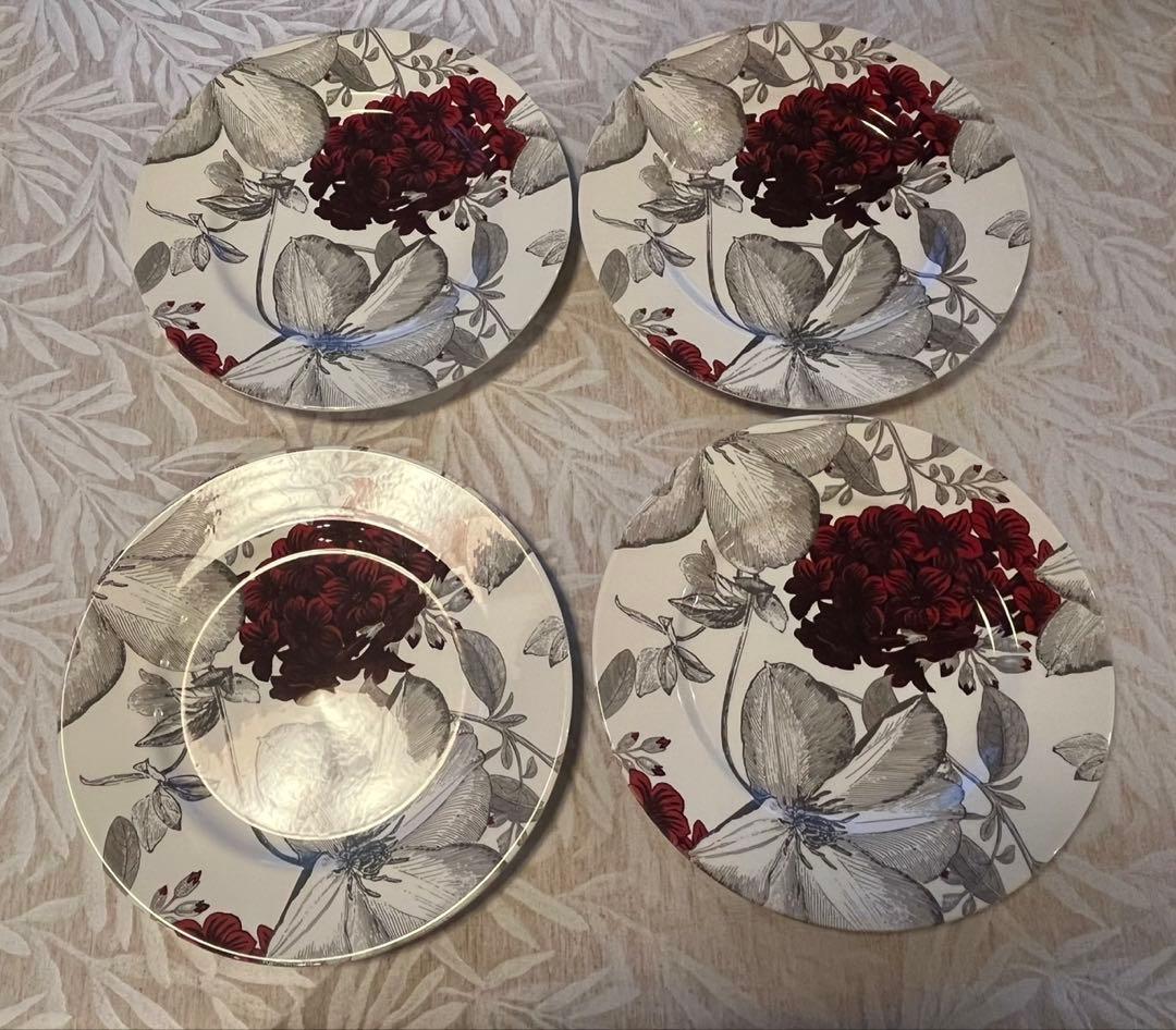 Andrew Tanner ディナープレート 4枚セット