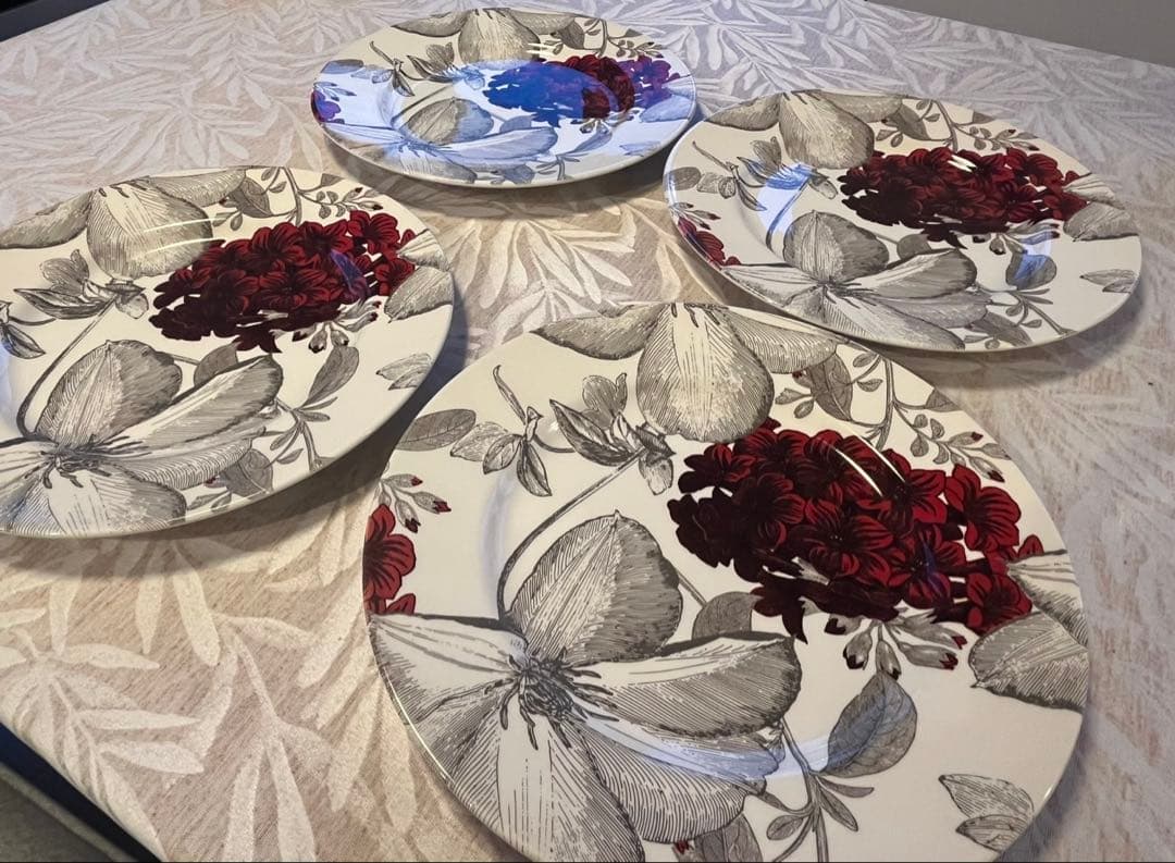 Andrew Tanner ディナープレート 4枚セット