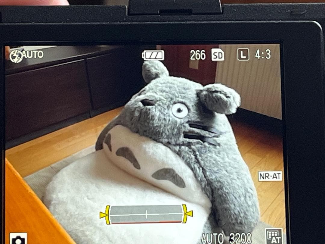 リコー RICOH GR 初代　 中古 ショット数1876回