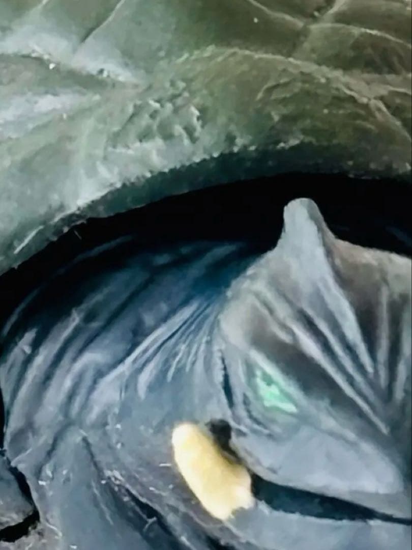 イワクラ特撮大百科　コナミSFムービーセレクション　ガメラまとめで15種セット