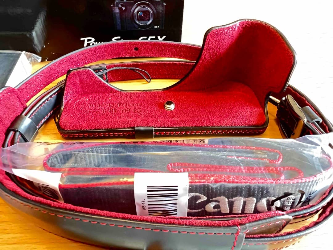 【美品】CANON PowerShot G5X　元箱・付属品あり