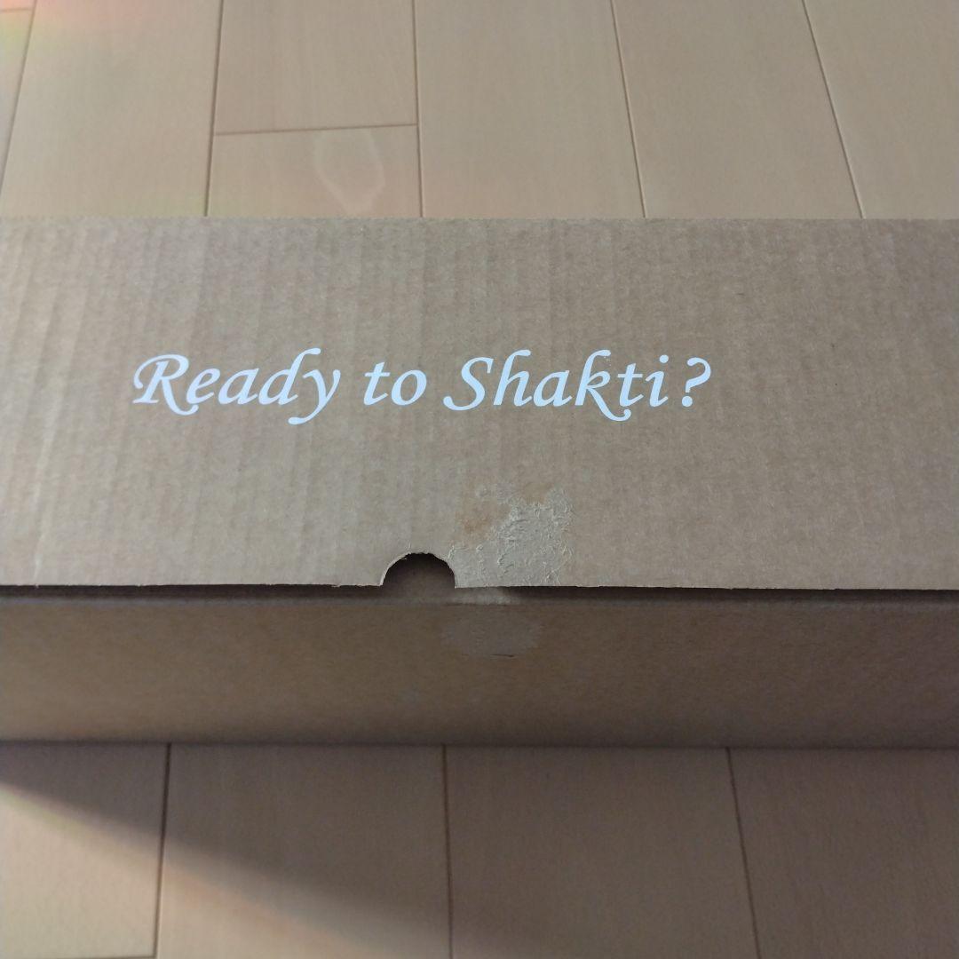 【正規品・美品】Shakti Pillow シャクティピロー オレンジ