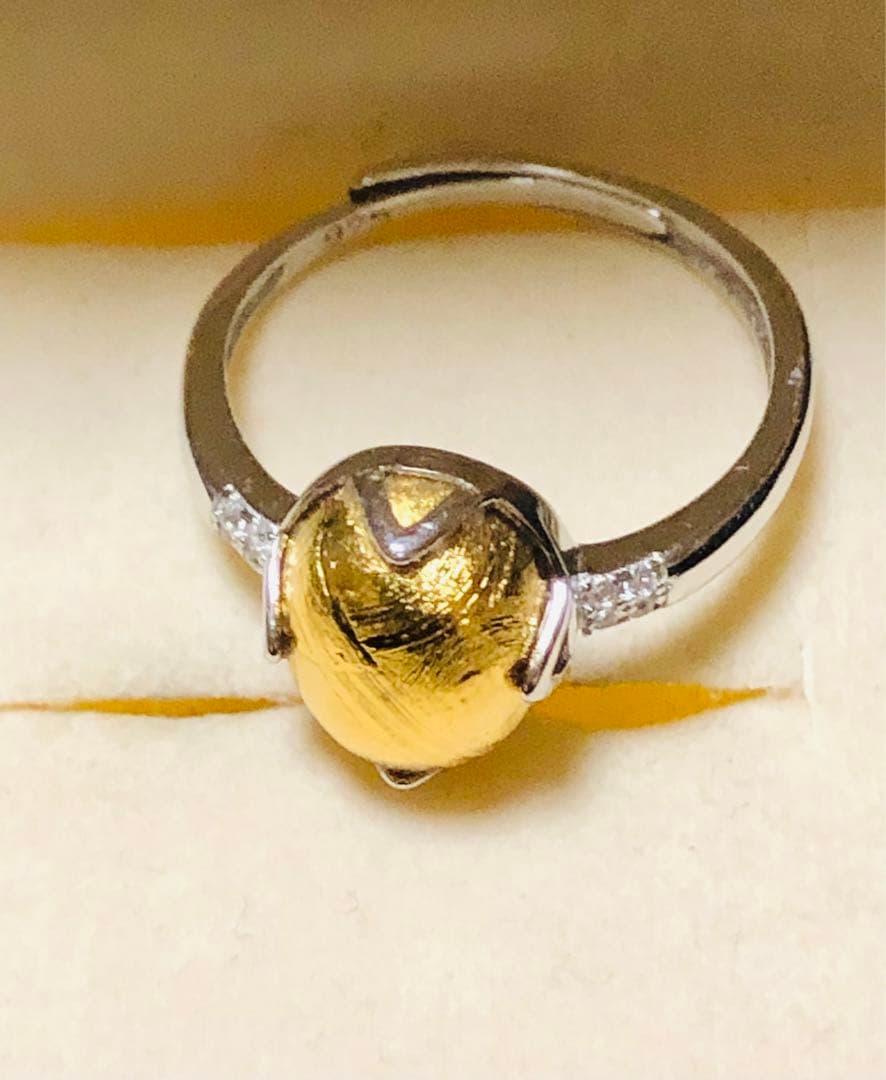 【特価】大粒 メテオライト隕石✴︎໒꒱宇宙໒꒱✴︎フリーサイズリング★彡1点品