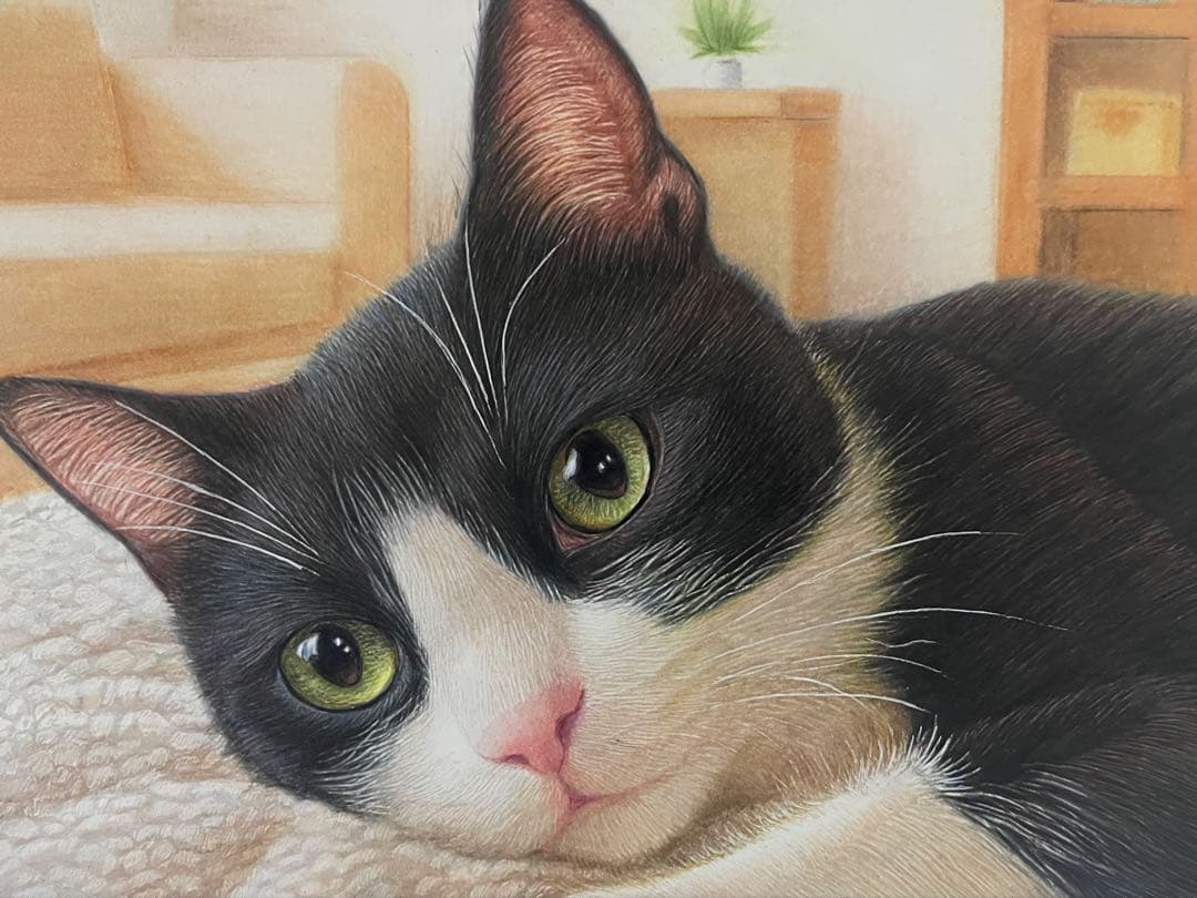 色鉛筆画 A4 ハチワレ猫132