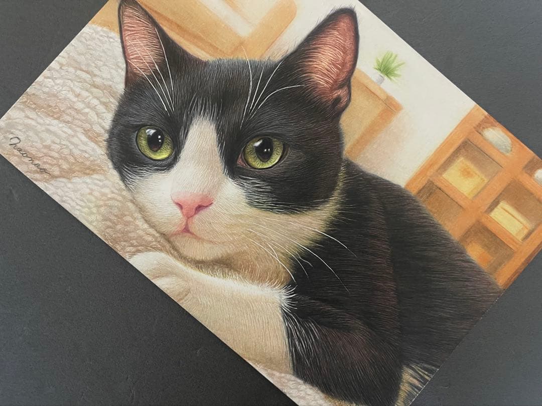 色鉛筆画 A4 ハチワレ猫132