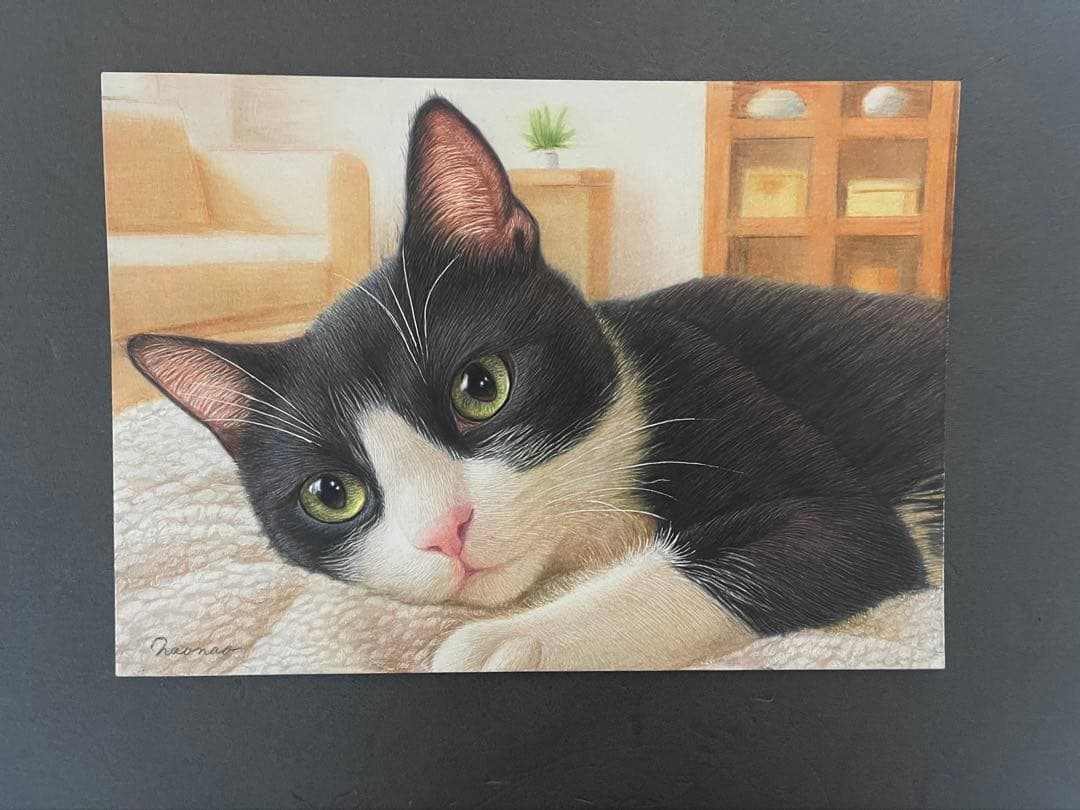 色鉛筆画 A4 ハチワレ猫132