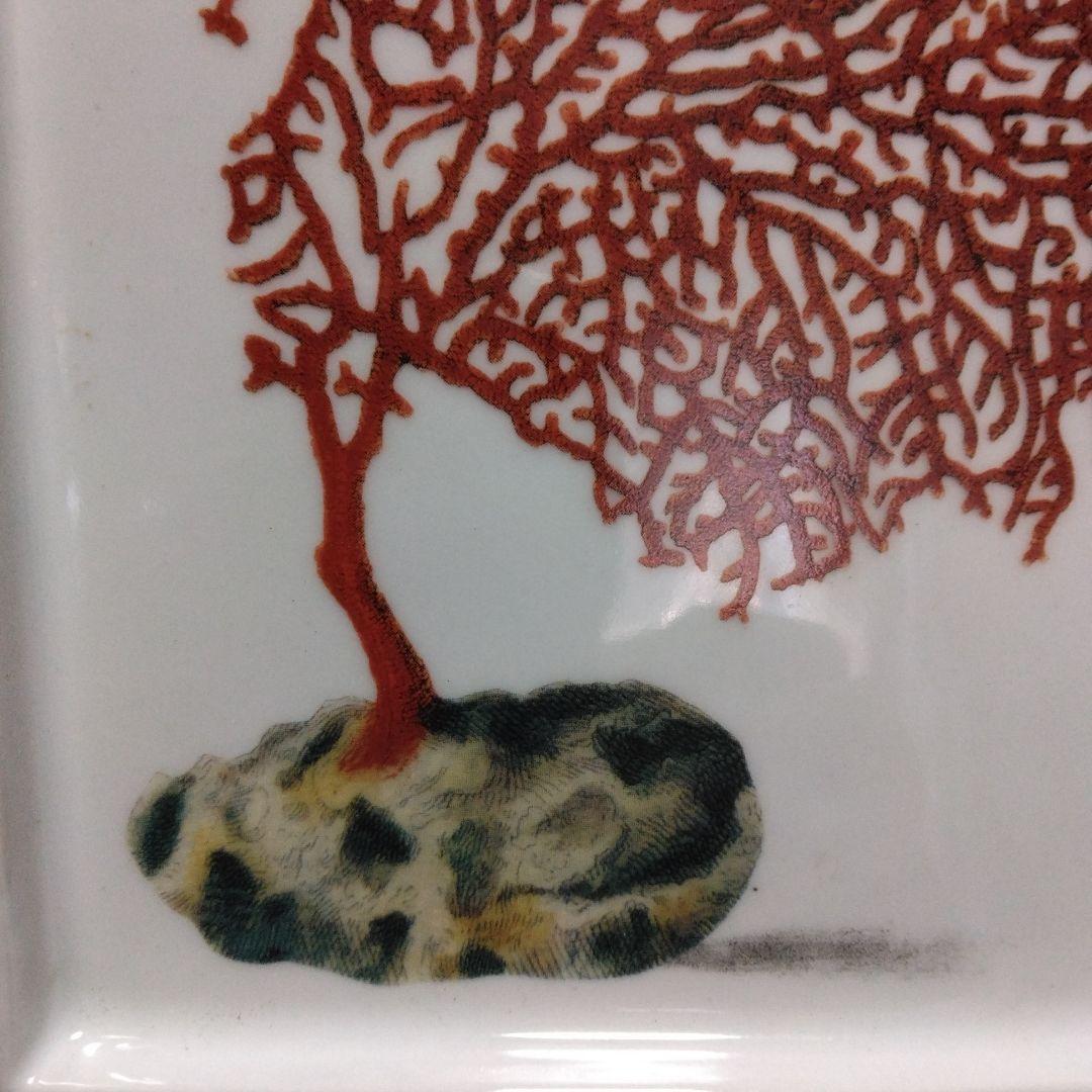 Fabienne Jouvin　サンゴ柄の角皿