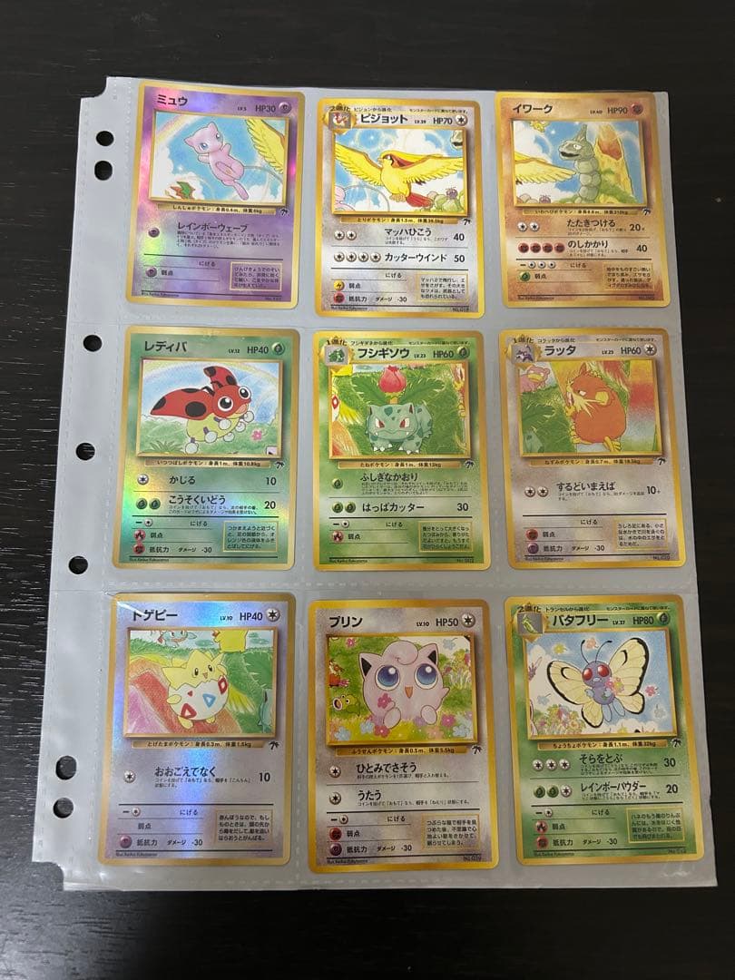 ポケモンカードゲーム　サザンアイランド（レインボーアイランド）ファイルセット