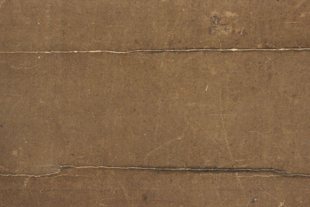 No5436 掛軸　無落款　山水　狩野之図　紙本　合箱　日本画　古美術　送料無料