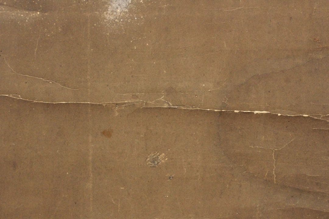 No5436 掛軸　無落款　山水　狩野之図　紙本　合箱　日本画　古美術　送料無料