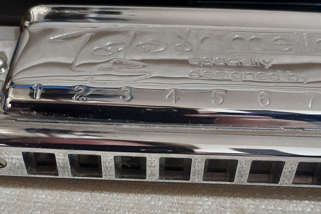 超早い者勝ち！ Hohner Toots Mellow Tone ハーモニカ