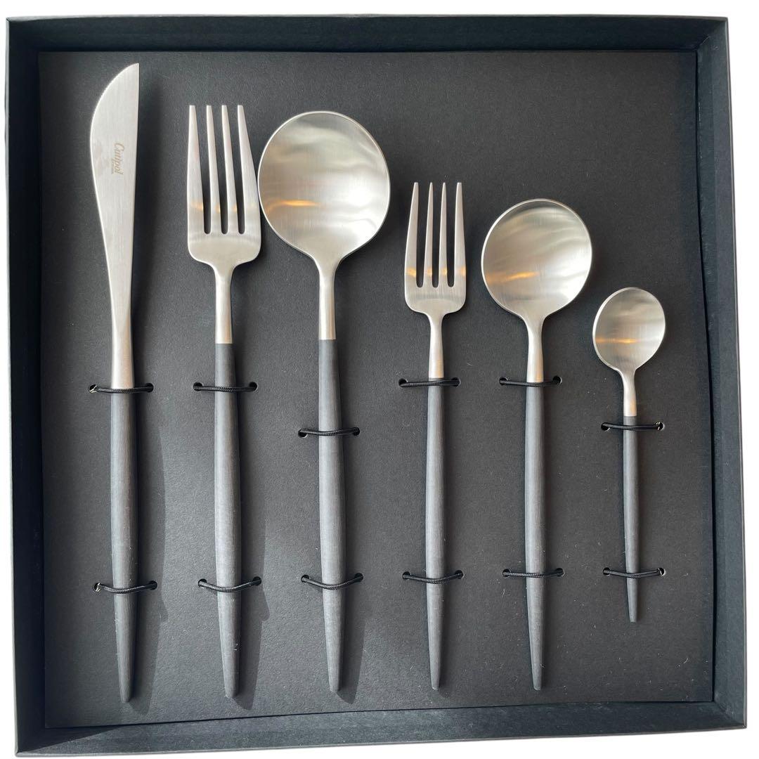 クチポール Cutipol ゴア スターターセット 6pcs 2セット GOA