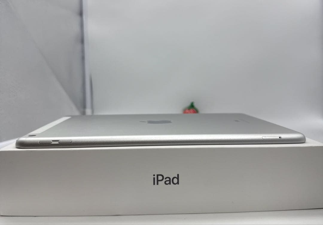 iPad 第6世代 32GB Wi-Fi + Cellular