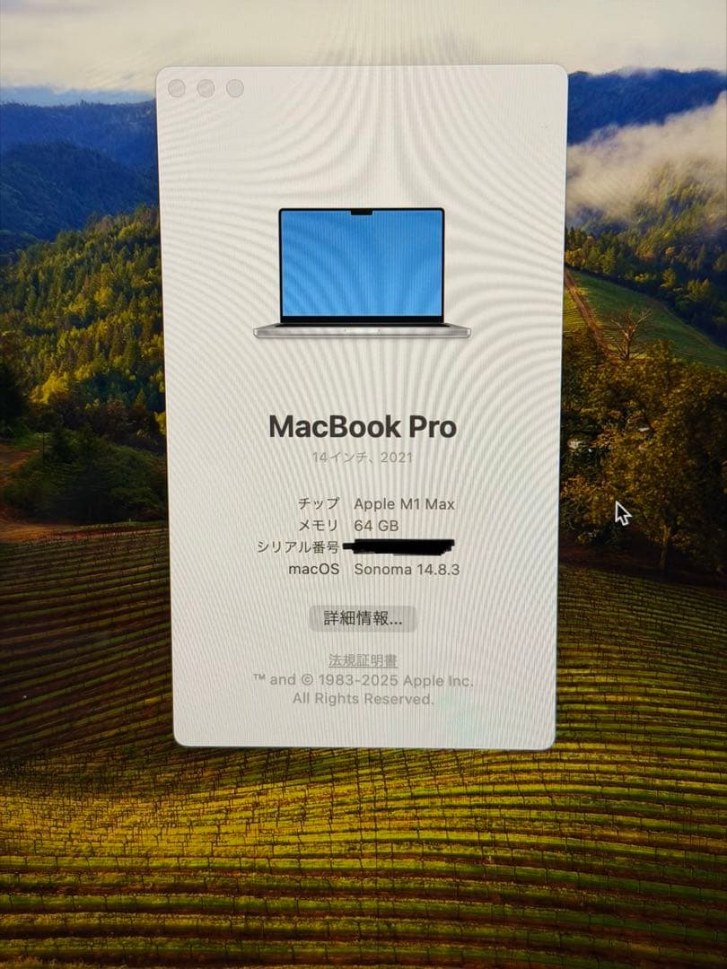 めんまMacBook Pro 14“ M1 Max 64GB US