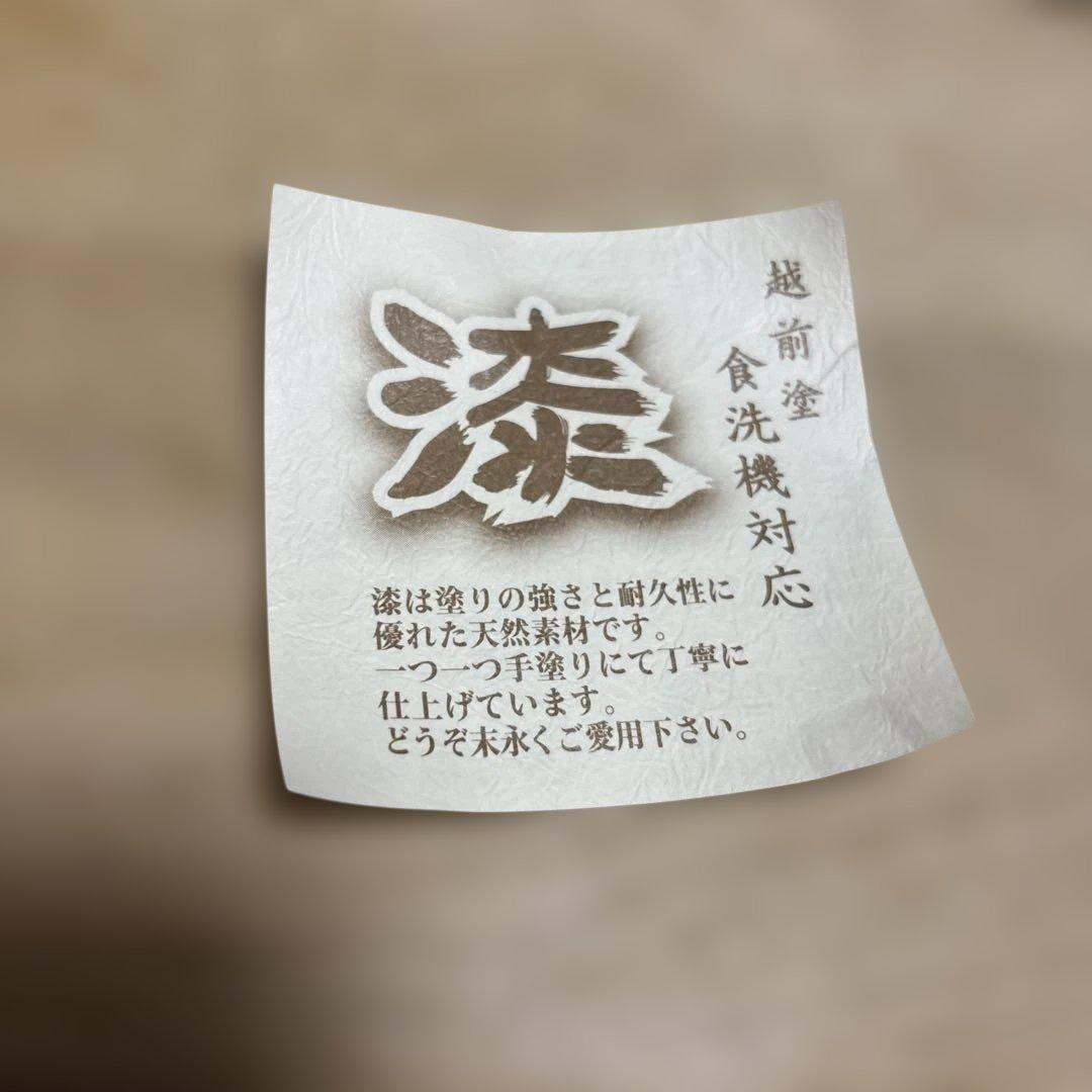 栗原はるみ　陶器製飯碗 6個＆ドット模様越前塗お椀6個