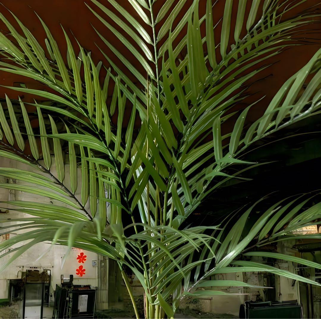 光触媒　人工観葉植物　ウォールグリーン　フェイクグリーン　アレカヤシ94白鉢@@