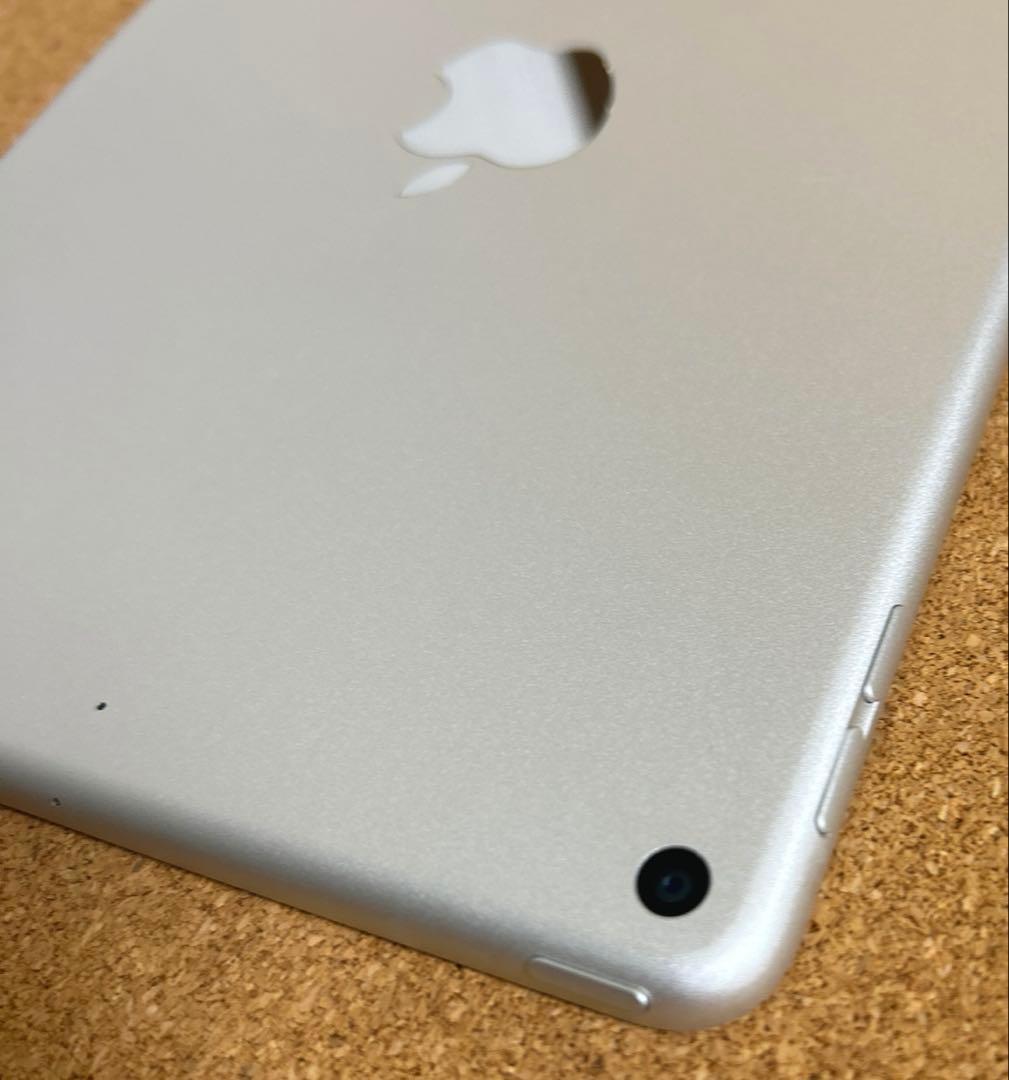 iPad mini5 第5世代 64GB (20) 88%