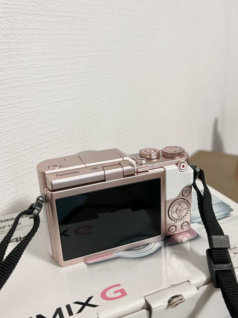 Panasonic LUMIX DC-GF10W ミラーレス一眼
