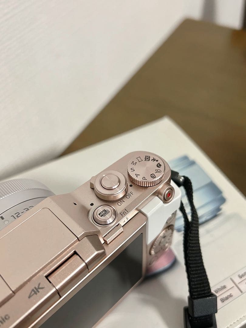 Panasonic LUMIX DC-GF10W ミラーレス一眼