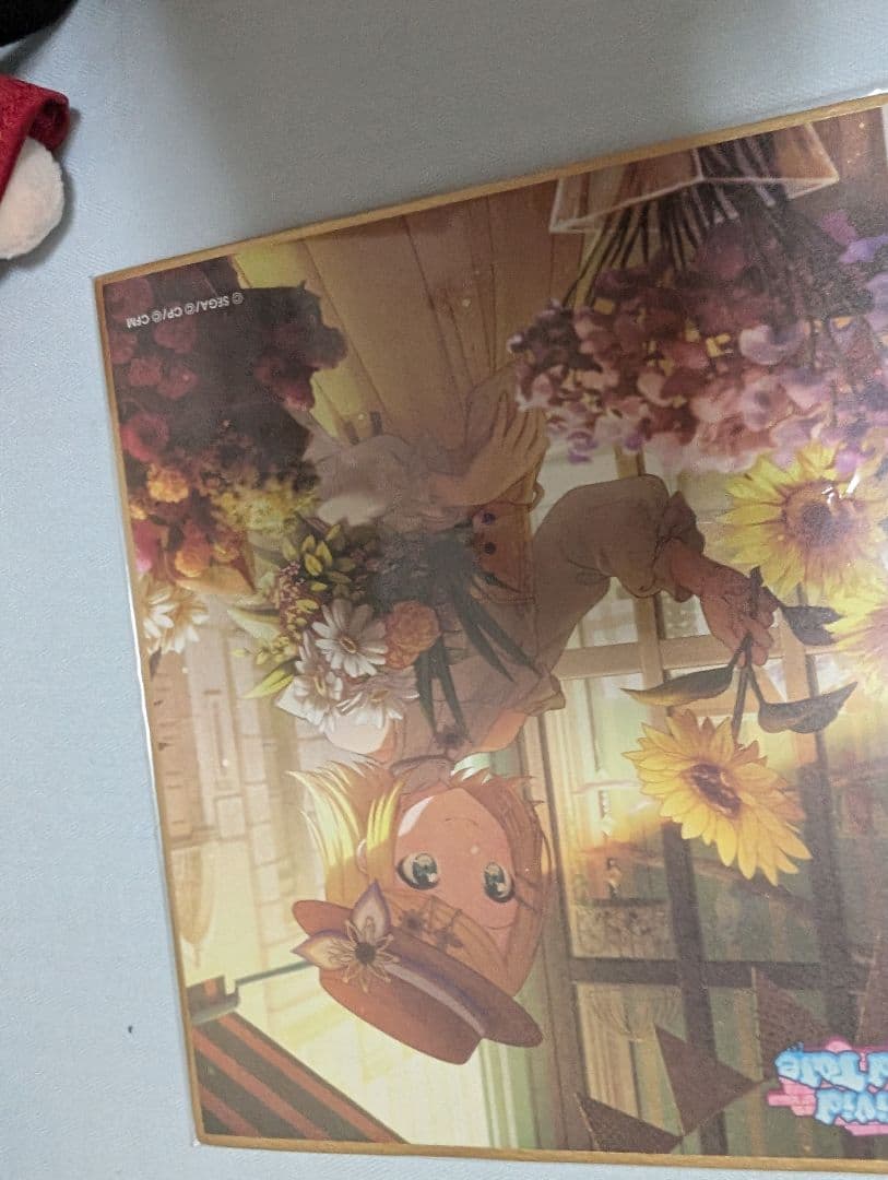 プロセカ色紙まとめ売り