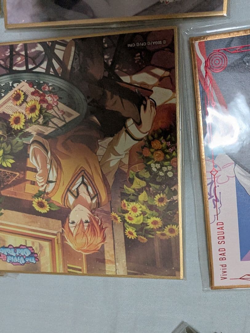 プロセカ色紙まとめ売り