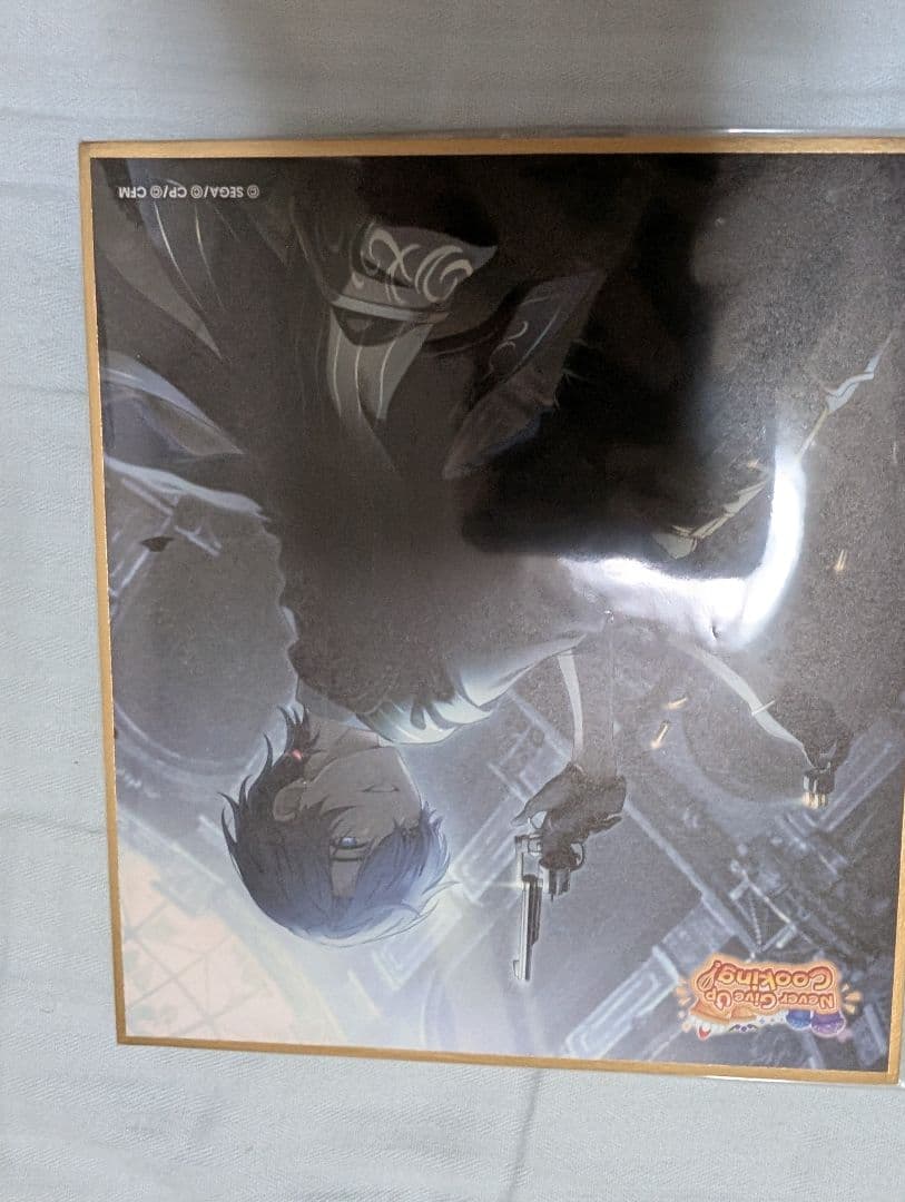 プロセカ色紙まとめ売り