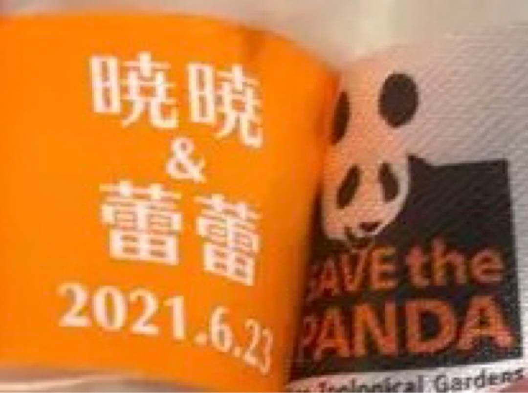 【タグ付き新品】上野動物園　パンダ　レイレイ　抱っこぬいぐるみ