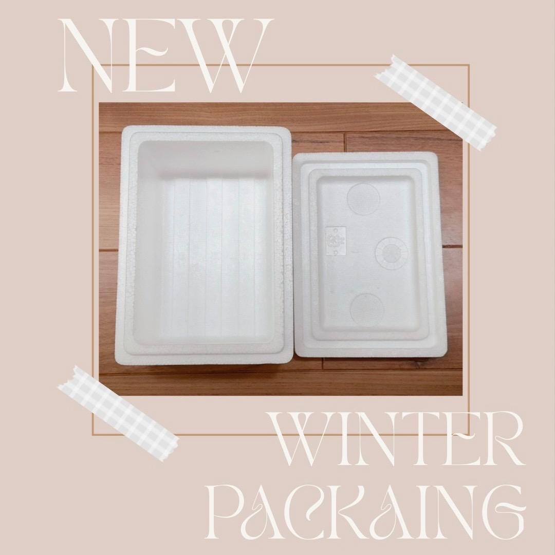 発泡！P.ridleyi dwarf silver 1739