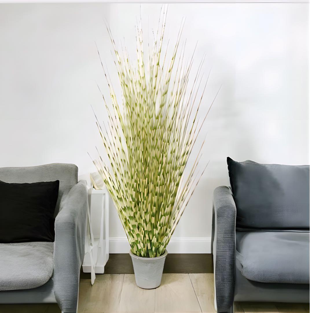 光触媒　人工観葉植物　ウォールグリーン　フェイクグリーン　ゼブラグラスポットy